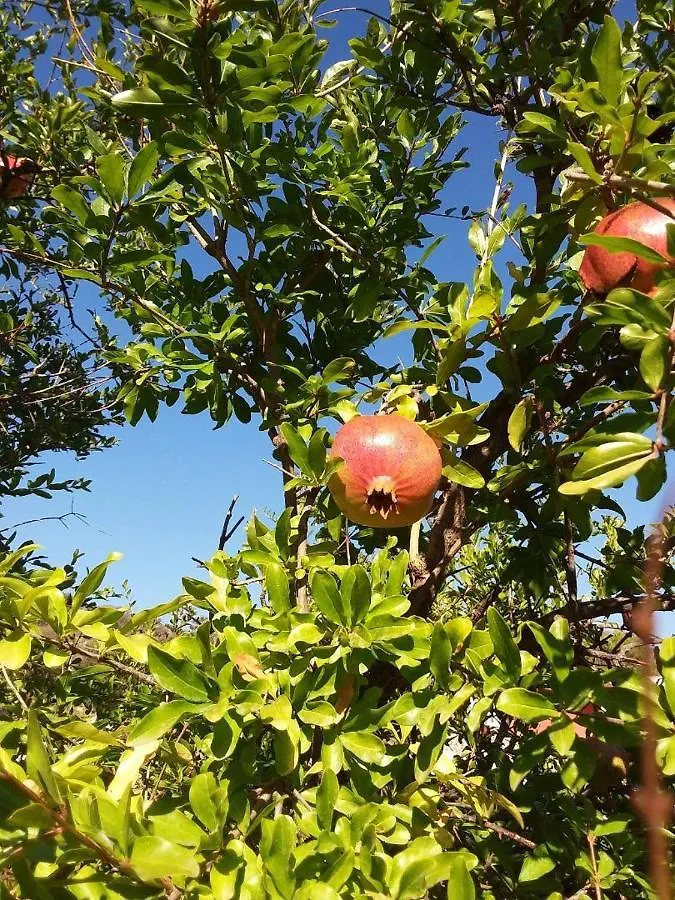 B&B Il Melograno Capoterra Bed & Breakfast