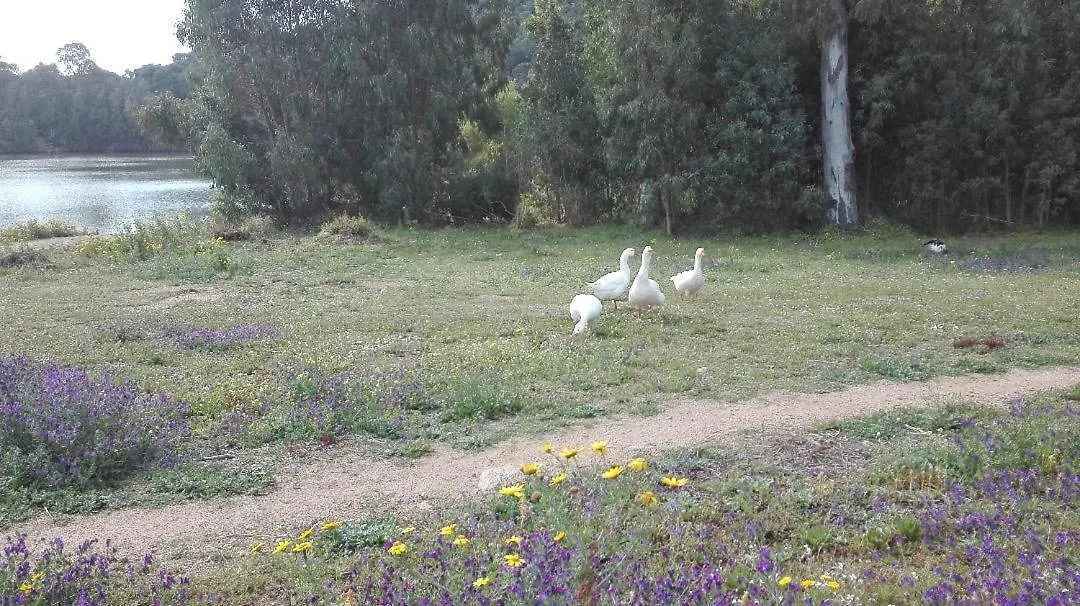 Bed & Breakfast B&B Il Melograno Capoterra