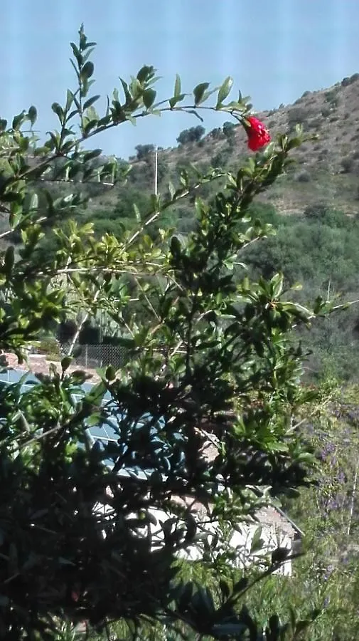 Bed & Breakfast B&B Il Melograno Capoterra